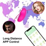 Wearable Couple Vibrator (wifi and Bluetooth) remote