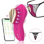 App Control  Wearable Vibrating panties remote