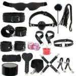 Luxury BDSM Bondage Kit – 16 Piece (BAG inclusive)