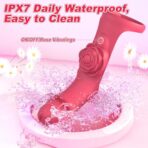 Henry Clit & G-Spot Massager Vibrator – Dual Stimulation Rechargeable Female Toy - Image 4